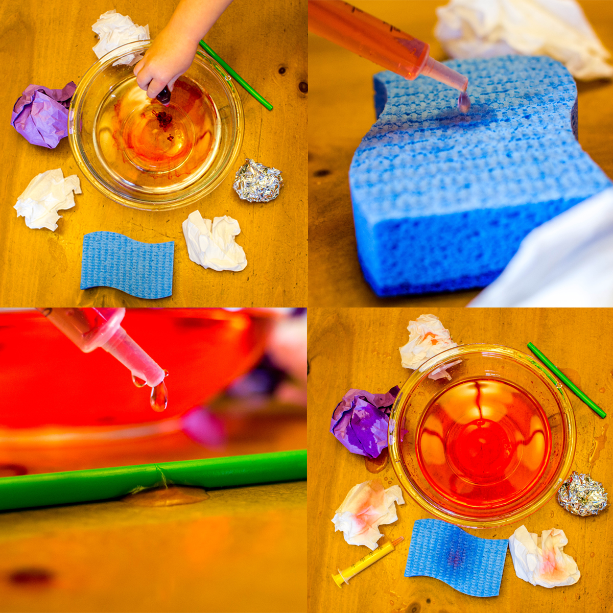 Experimenting with water is the summer is an engaging way to learn about Science. Try this activity to learn about absorption.