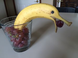 Dolphin_1