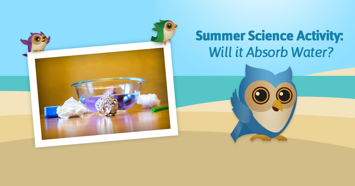Experimenting with water is the summer is an engaging way to learn about Science. Try this activity to learn about absorption.